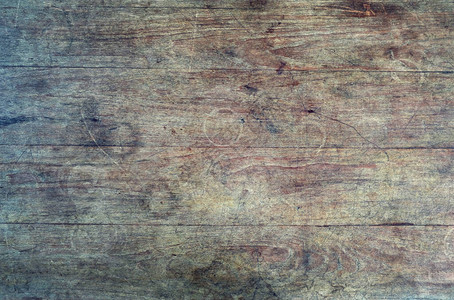 树木纹理背景老面板摘要背景图片