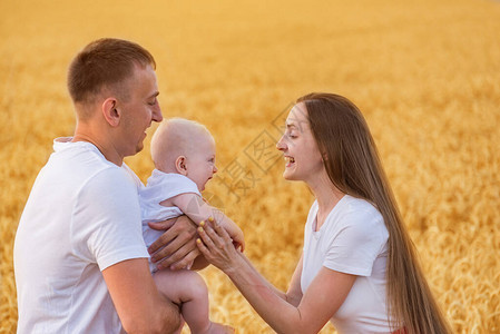 快乐的年轻家庭在麦田和小孩一起玩年轻的妈爸图片