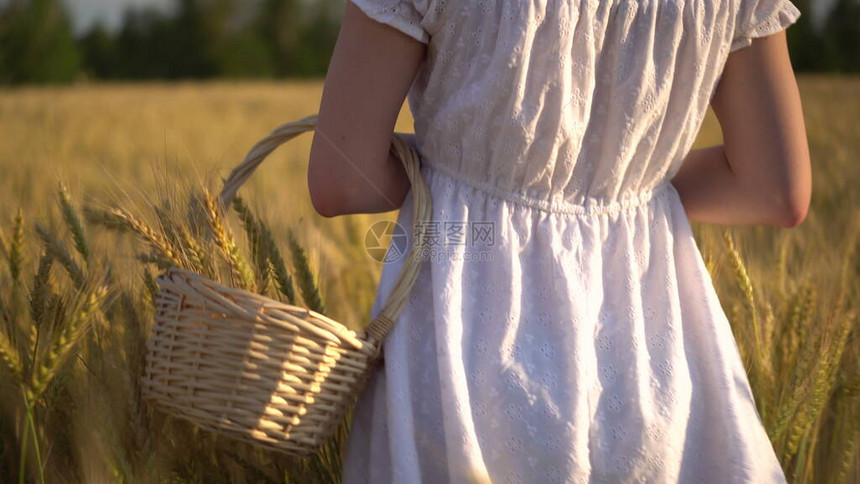 一个年轻的女人手里拿着一个篮子走在黄色的麦田里有小麦穗的稻草篮特写后图片