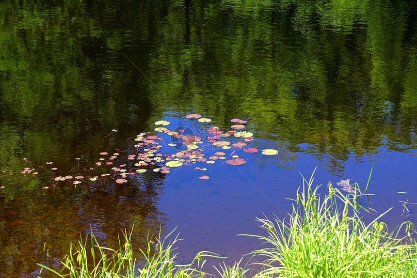 蓝天反映在纽约Inlet镇附近的一个池塘里图片