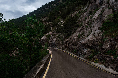 雨季穿过山林的柏油路在雨中的春天森林中的道路完美的柏油图片