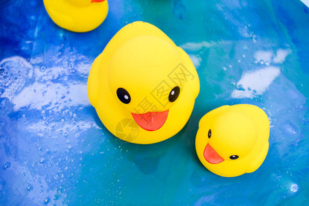 明亮的黄色鸭子在环氧树脂池中游泳图片