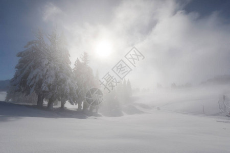 瑞士中部冬日阳光下的神秘雾气图片
