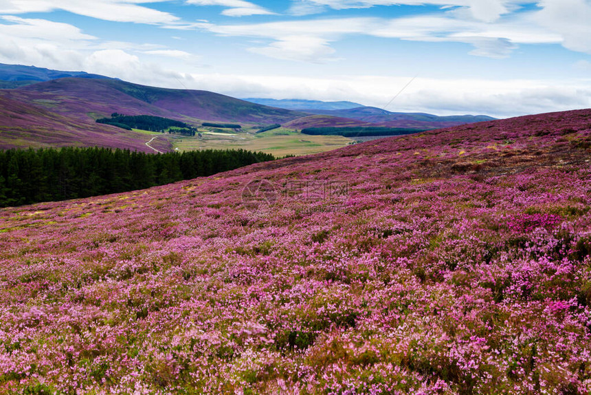 苏格兰高地风景如画的道路图片