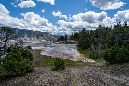 黄石公园Mammoth温泉地区图片