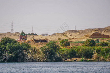 埃及尼罗河沿尼罗河岸的一小片摩克电力图片