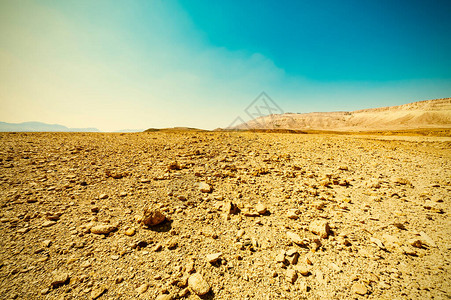 生机向荣以色列沙漠中岩层的欣向荣的景象背景
