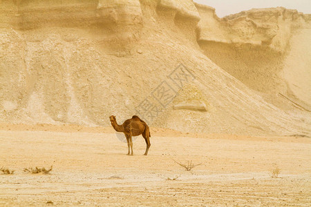 塞什姆岛波斯湾伊朗中东亚洲的沙丘图片