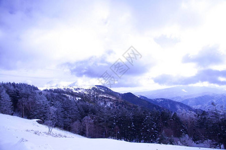 美丽的高山全景雪山图片