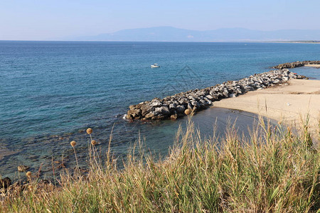 海边的全景浓密的草丛在烈日蔚蓝的大海天空沙滩和海岸的人工图片