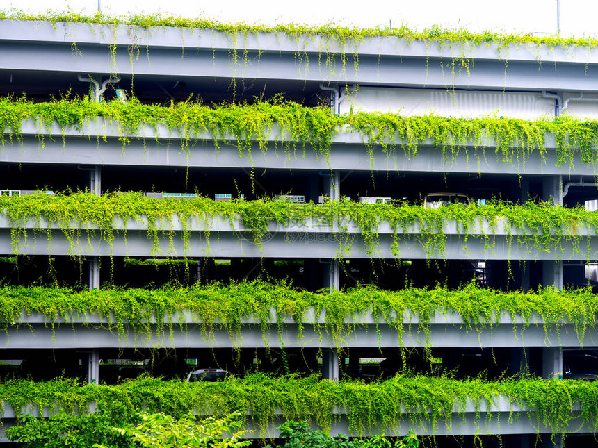 绿色停车背景绿色汽车停场建筑装饰图片