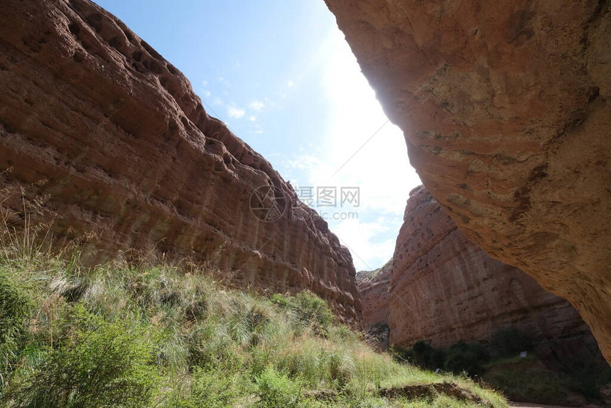 甘肃省Zhangye的深色峡谷悬崖与阳光下的植物之图片