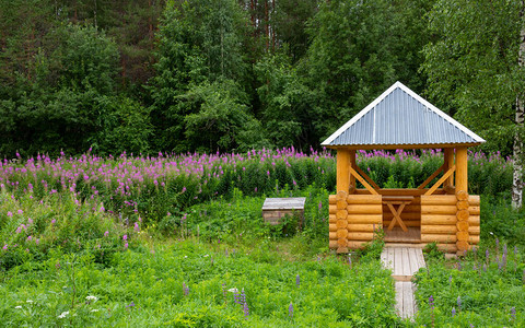 美丽的木制凉亭在森林里供休闲图片