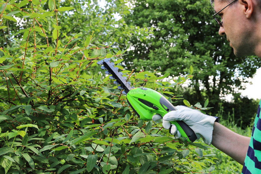 男人在花园里工作他戴着皮手套的手握着一个便携式电动绿篱机在绿色植图片