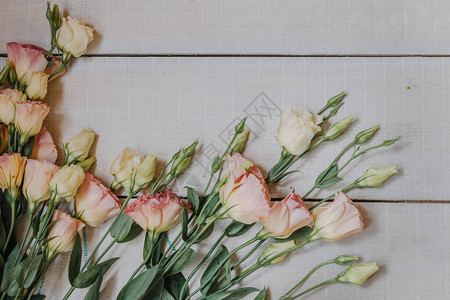 花框由白色和粉红色的eustoms制成图片