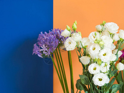 美丽的白色和紫色花束在哈密瓜橙色和经典蓝色背景时尚双色调图片