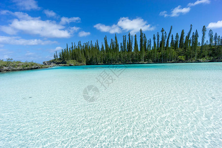 新喀里多尼亚松树岛奥罗湾自然游泳池的美丽海景半透明水是赤道水图片