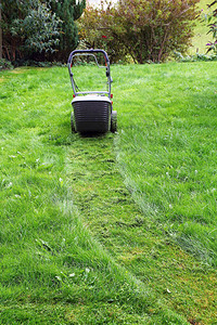 在春夏秋三季修剪草坪在草图片