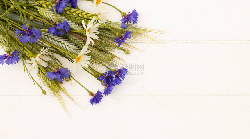 白色木形背景的扇片玉米花和小菊顶部视图复制空间图片