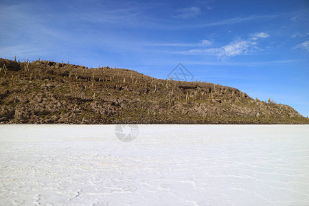 UyuniSaltFlatsUyuni盐板上的落石植物图片