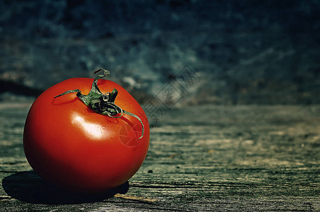 红熟美味的番茄前端观光图片以蓝色木图片