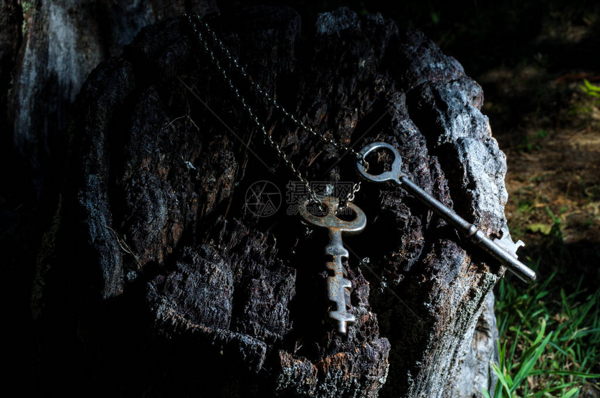 挂在与旧树桩相连的金属链上图片