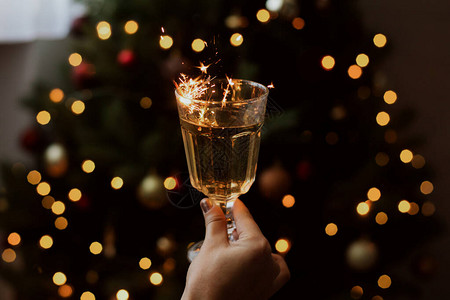 手里拿着香槟酒杯里燃烧的烟花新年快乐手拿着烟火在圣诞树上喝图片