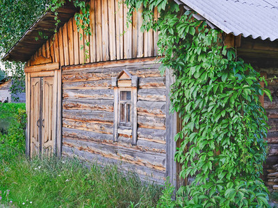 村子里废弃的旧木屋常春藤在房子上小窗户图片