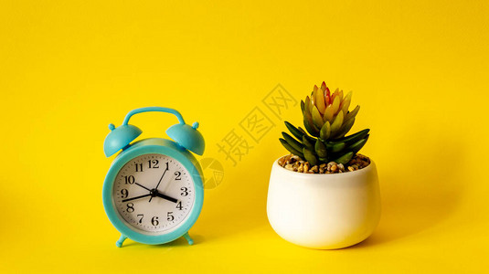 黄色背景中的闹钟和一盆花图片