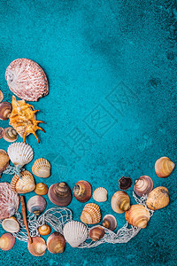 夏季海滩背景框架青色背景的贝壳图片