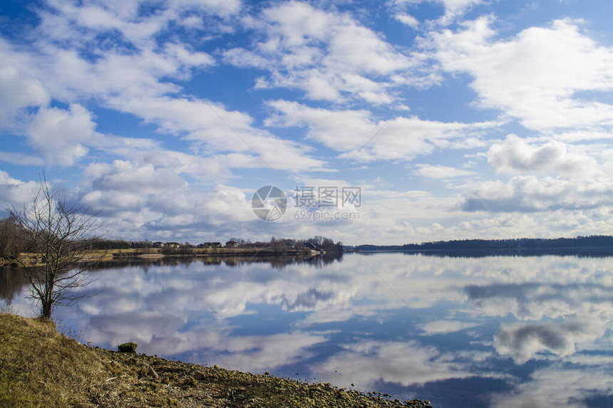 前景中的树和岩石海岸道加瓦河风景如画拉脱维亚的质蓝天中美丽的云彩图片