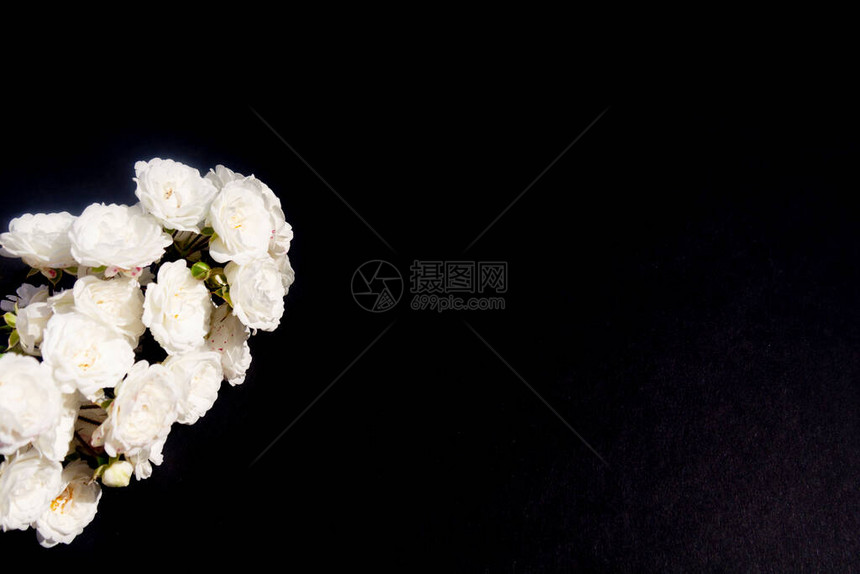 黑色背景上的白玫瑰分支简约风格平躺对于贺卡图片
