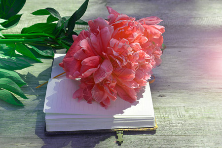 开放的日记笔本和花束美丽的贺卡新生活开始的概念图片