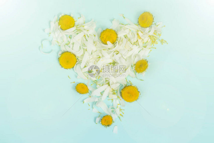 洋甘菊花瓣制成的心美与爱的概念水疗中心图片