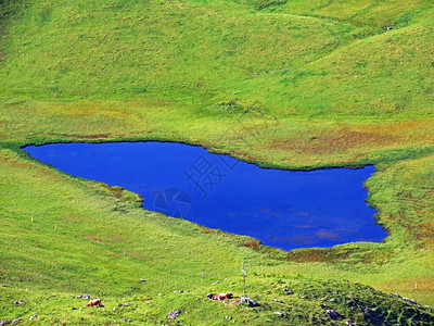 或乌里阿尔卑斯山地块中的泽费尔德湖下游图片