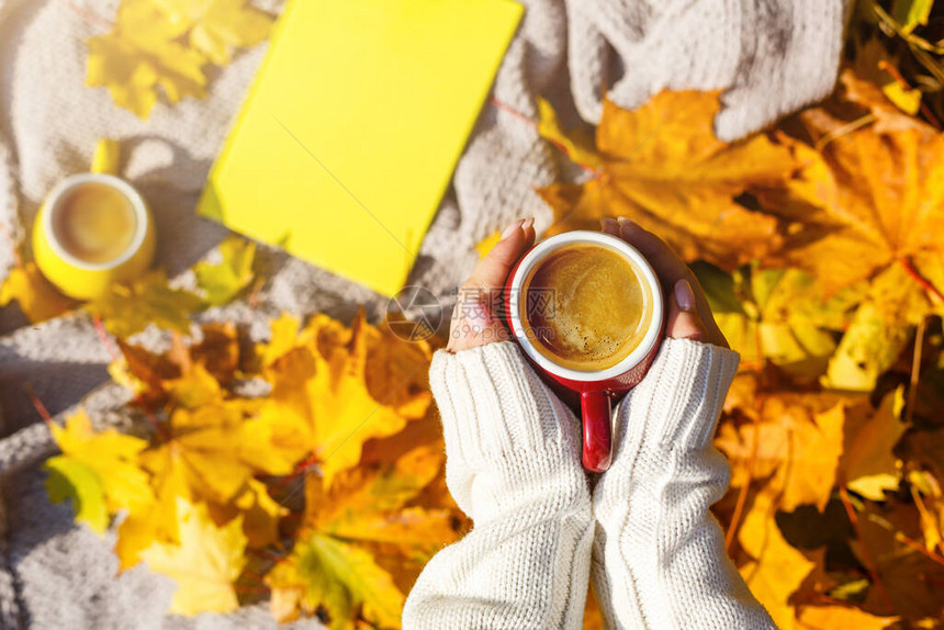 秋叶和热腾的咖啡秋季闲暇时间和咖图片