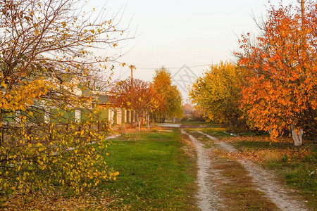 秋天的小巷秋天的背景黄叶图片