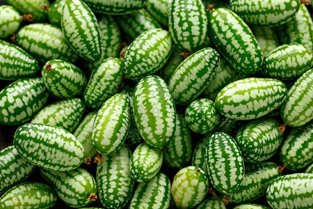 新鲜的绿西瓜背景纹理图片