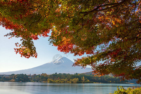 日本河口湖红枫叶的秋天富士山图片