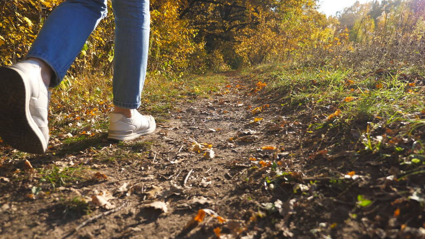 穿着运动鞋的女脚的低视图沿着森林附近的小路走年轻女子的双腿在初秋的小径中穿行在阳光明媚的日子里图片