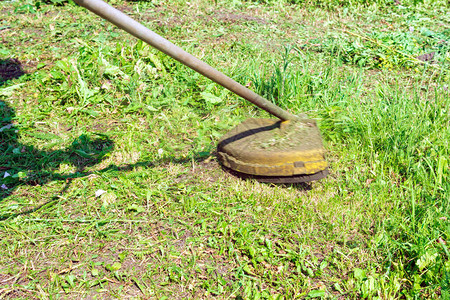 汽油草坪修剪机在草坪上修剪多汁的绿草园艺设备图片