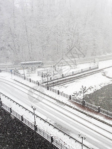 降雪期间河上的公路桥景观沿途有白树图片