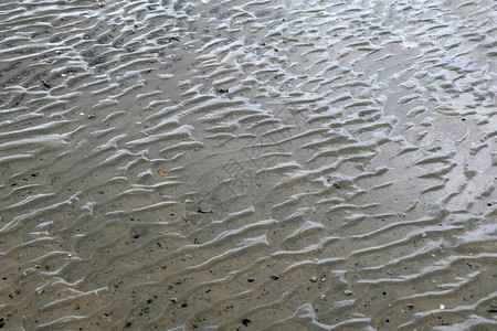 退潮时海滩的沙子图片