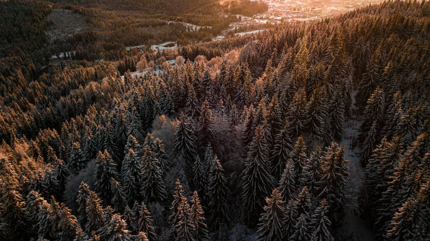喀尔巴阡山脉冬天季图片