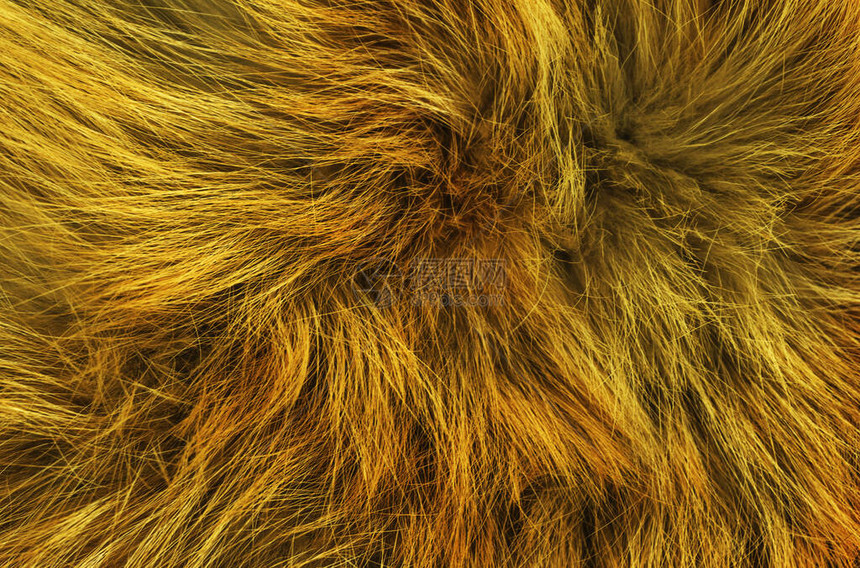 棕色动物天然羊毛纹理背景橙色外壳黄毛皮姜白长图片