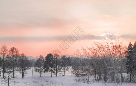 浪漫的粉色日落天空景色城市公园和房屋冬季风景俄罗图片