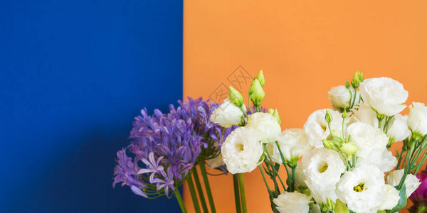 哈密瓜橙色和经典蓝色背景上的美丽白花束时尚双色调彩设图片