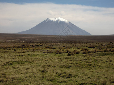 Arequipa秘鲁Pampa图片