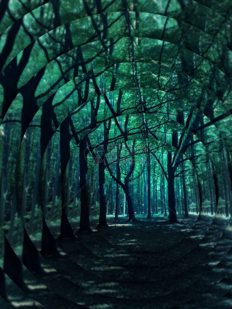 绿晨光的窗帘在有魔法的森林图片