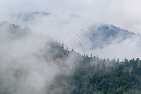 在薄雾景观中美丽的雾和云山的壮丽景色rai之后的夏季时间图片